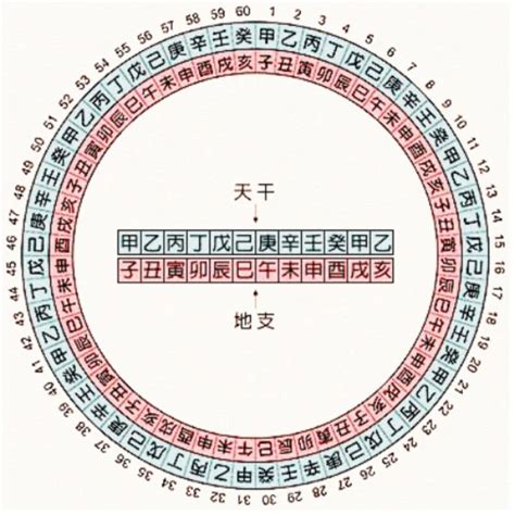 60年次五行|60 天干、地支、五行、屬相對照表